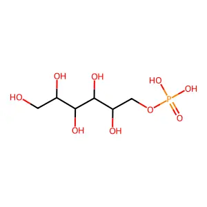 Wistariasaponin D structure
