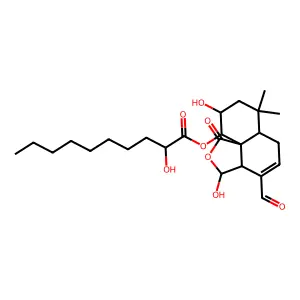Mniopetal D structure