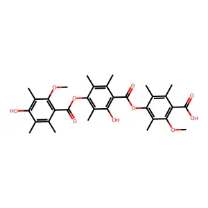 PS 990 structure
