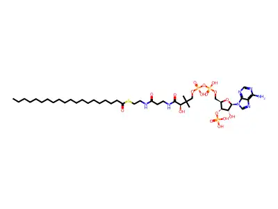 Arachidoyl-coa structure