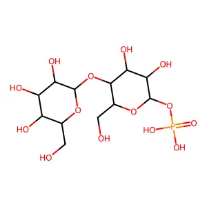 Hex(?1-4)Hex1P structure