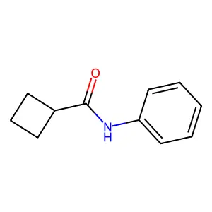 N-Phenylcyclobutanecarboxamide structure