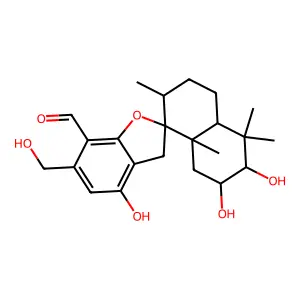 Mer NF5003B structure