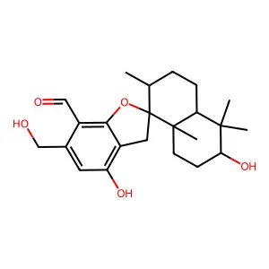 Mer NF5003E structure