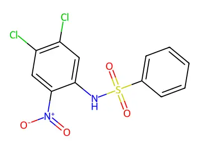 N-(4,5-二氯-2-硝基苯基)苯磺酰胺 structure