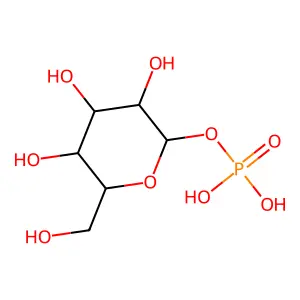 α-D-甘露糖-1-磷酸酯 structure