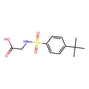 2-[(4-叔丁基苯基)磺酰氨基]乙酸 structure