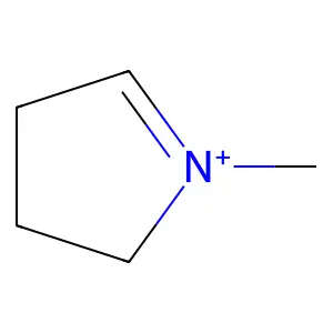 3,4-Dihydro-1-methyl-2H-pyrrolium structure