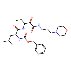 AK 295 structure