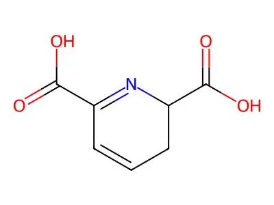 2,3-二氢-2,6-吡啶二甲酸 structure