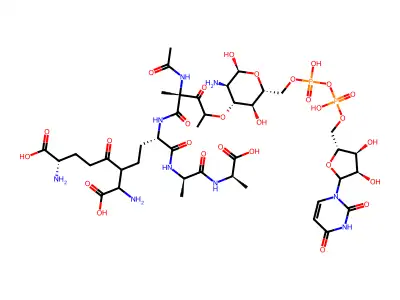 UDP-N-acetylmuramic acid pentapeptide structure