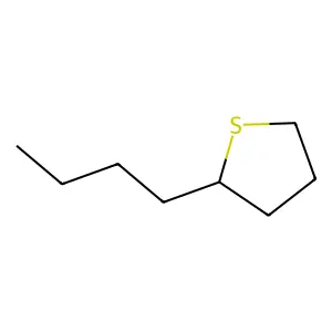 2-Butyltetrahydrothiophene structure