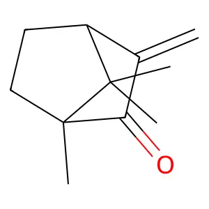 (1R,4S)-1,7,7-trimethyl-3-methylidenebicyclo[2.2.1]heptan-2-one structure