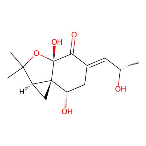 Papyracon B structure