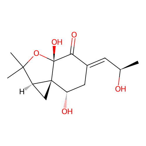Papyracon C structure