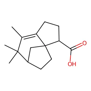 Isozizanoic acid structure