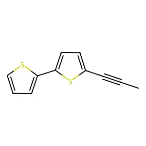 2,2'-Bithiophene, 5-(1-propynyl)- structure