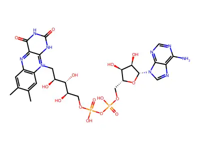 Pemulen TR 2 structure