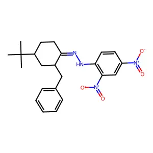 N-[(2-benzyl-4-tert-butylcyclohexylidene)amino]-2,4-dinitroaniline structure