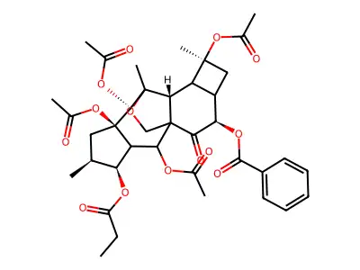 Euphorbia substance SPr5 structure