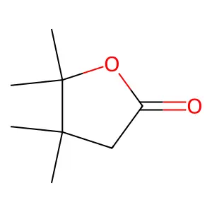 2(3H)-Furanone, dihydro-4,4,5,5-tetramethyl- structure