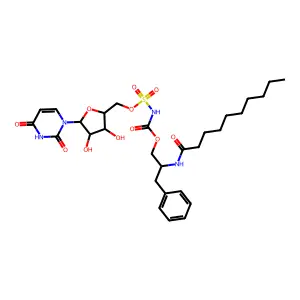 PP55 structure