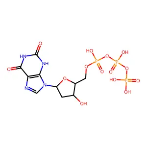 dXTP structure