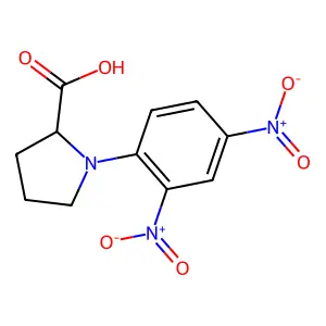 1-(2,4-dinitrophenyl)-L-proline structure