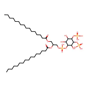 PtdIns(3,4)P2 structure