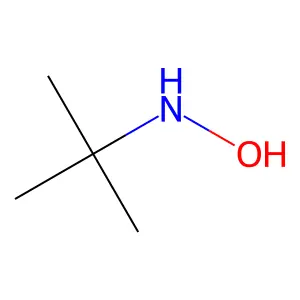 N-叔丁基羟胺 structure