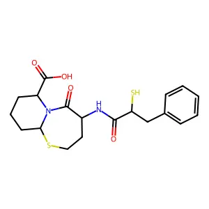 Omapatrilat structure