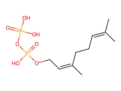 Neryl diphosphate structure
