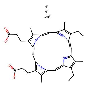 Magnesium mesoporphyrin structure