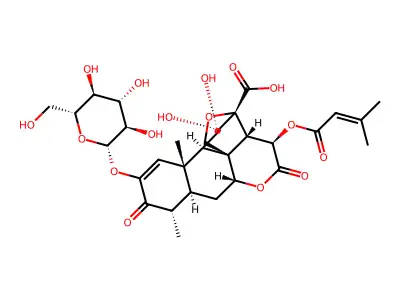 (+)-Bruceoside D structure