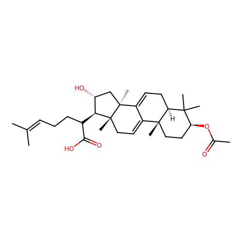 3-O-Acetyl-16alpha-hydroxydehydrotrametenolic acid structure