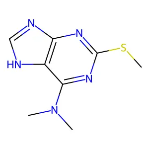 N,N-dimethyl-2-methylsulfanyl-5H-purin-6-amine structure