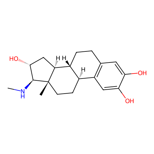 Org 20781 structure