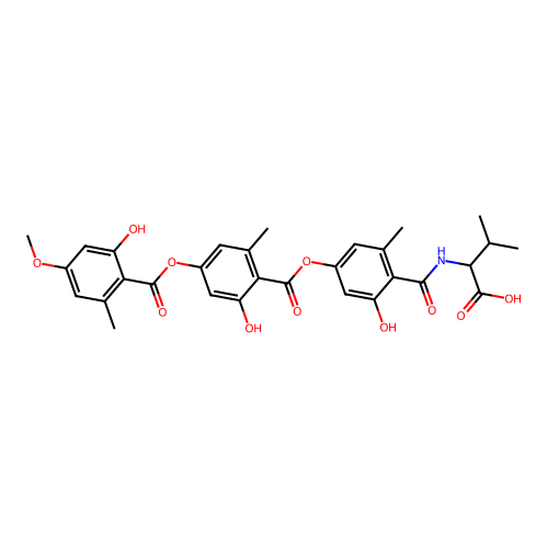 Amidepsine C structure