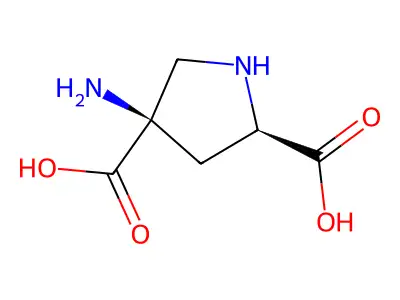 4-Aminopyrrolidine-2,4-dicarboxylic acid structure