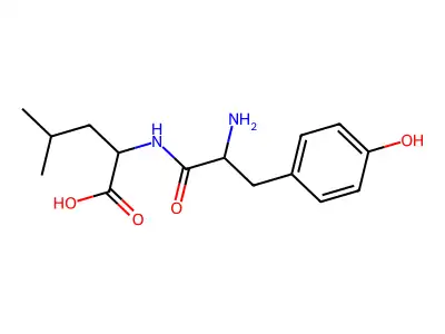 Tyrosine Leucine dipeptide structure