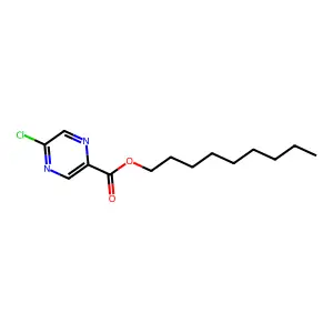 S 4404 structure