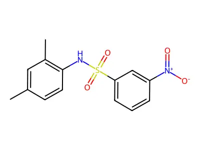 N-(2,4-Dimethylphenyl)-3-nitrobenzenesulfonamide structure