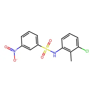 N-(3-chloro-2-methylphenyl)-3-nitrobenzenesulfonamide structure