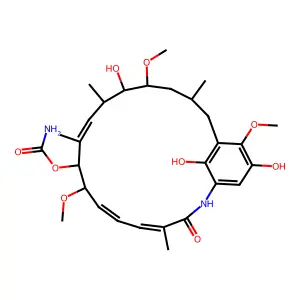 B0X89M7X7M structure