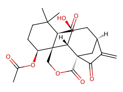 Isodonal structure