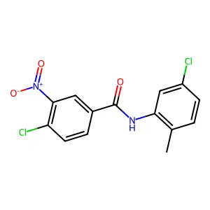4-chloro-N-(5-chloro-2-methylphenyl)-3-nitrobenzamide structure