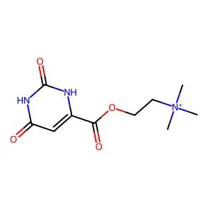 2-(2,4-dioxo-1H-pyrimidine-6-carbonyl)oxyethyl-trimethylazanium structure