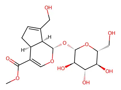 Geniposide structure