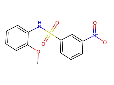 N-(2-methoxyphenyl)-3-nitrobenzenesulfonamide structure