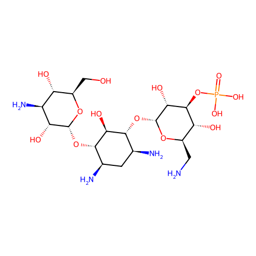 Kanamycin 3'-phosphate structure